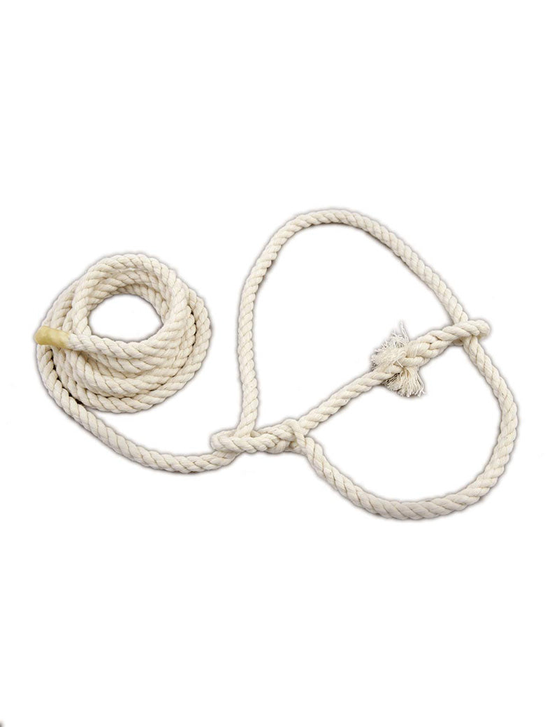 Sheep Cotton Halter