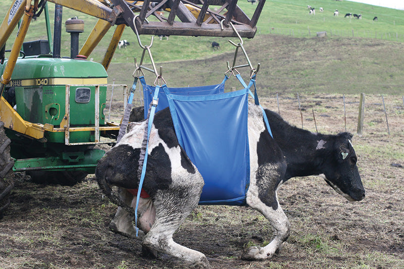Daisy Lifter Heavy Duty