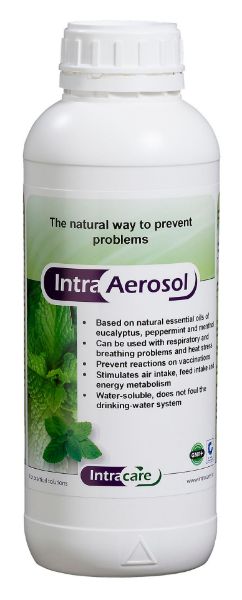 INTRA AEROSOL - 1L