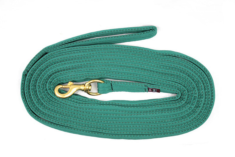 Equi-Sential Padded Lunge Rein