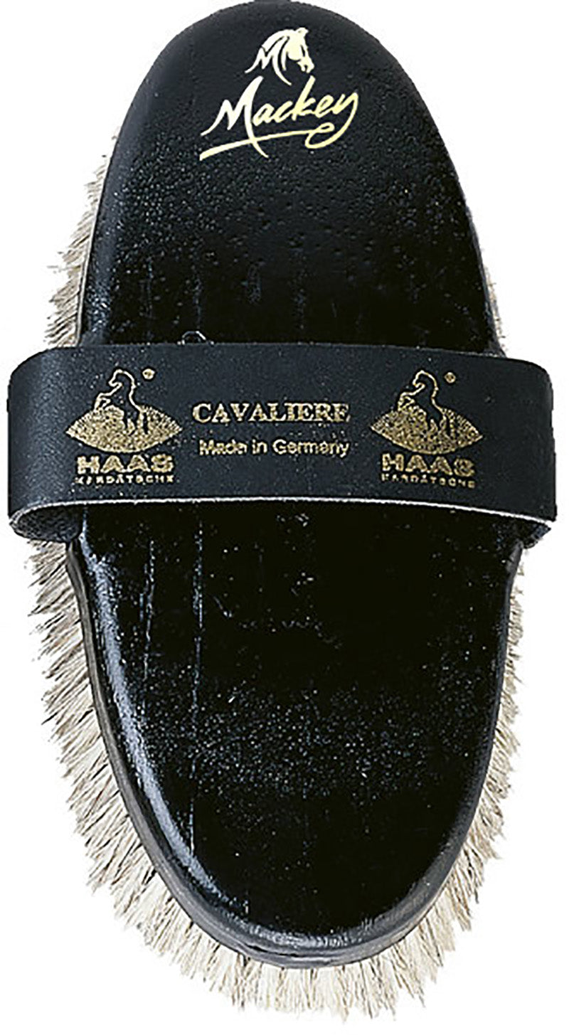 HAAS Cavaliere