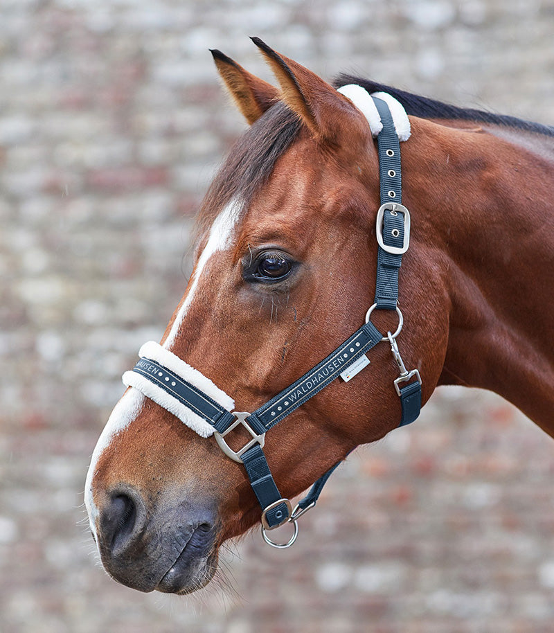 Elegant halter
