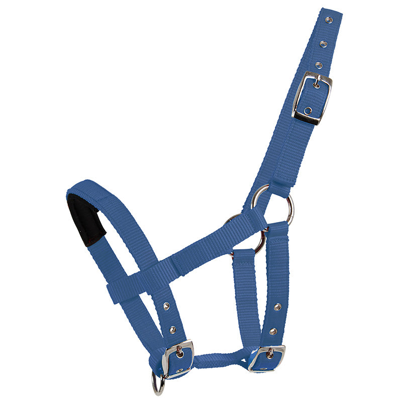 Mini Shetland Halter