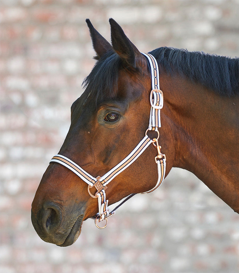 Shine Halter