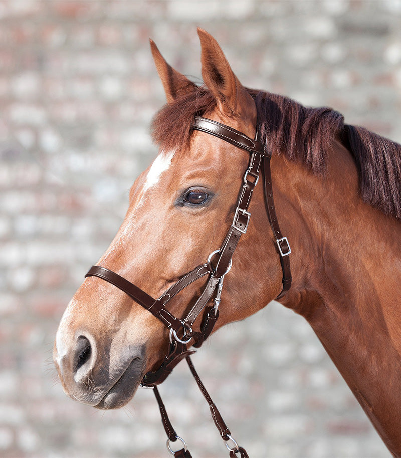 Star Two Bitless Bridle