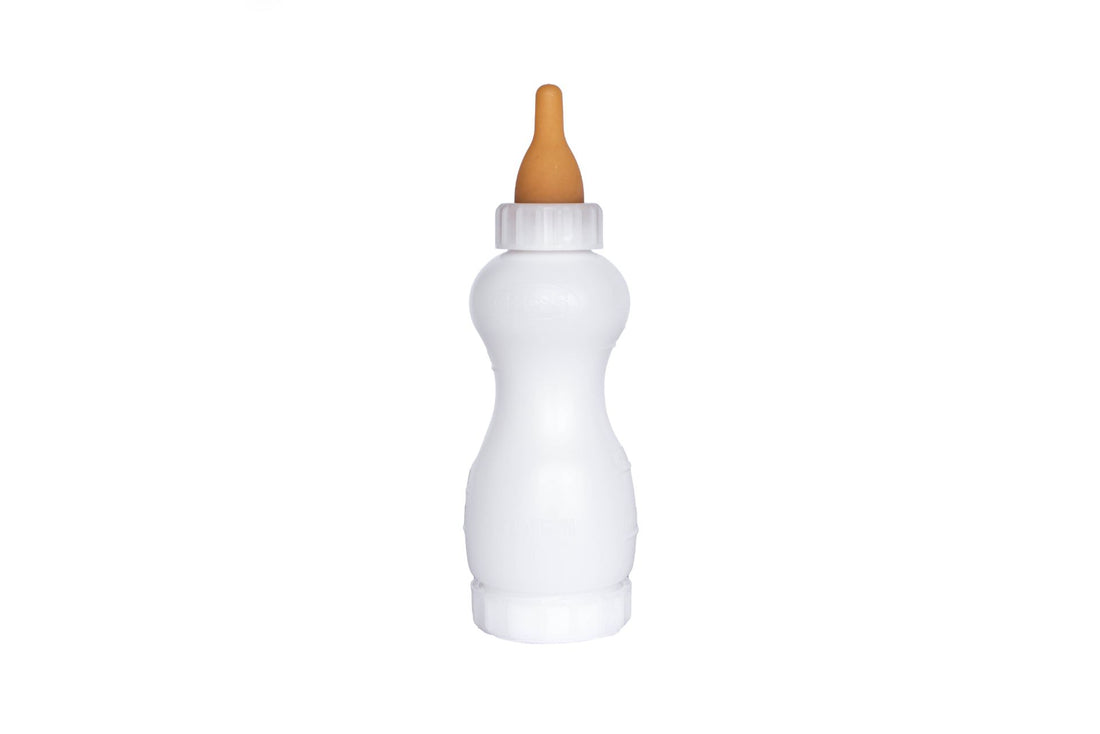 BESS Lamb Bottle