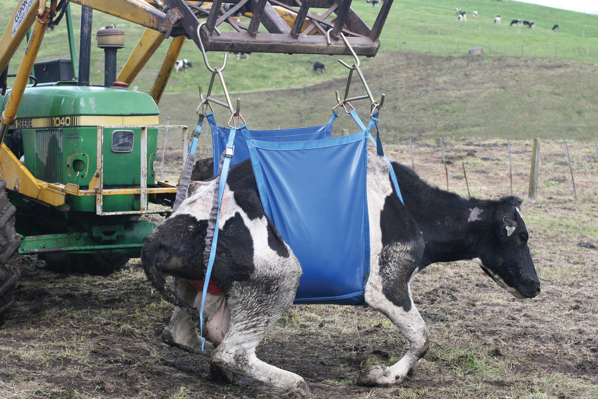Daisy Lifter Heavy Duty