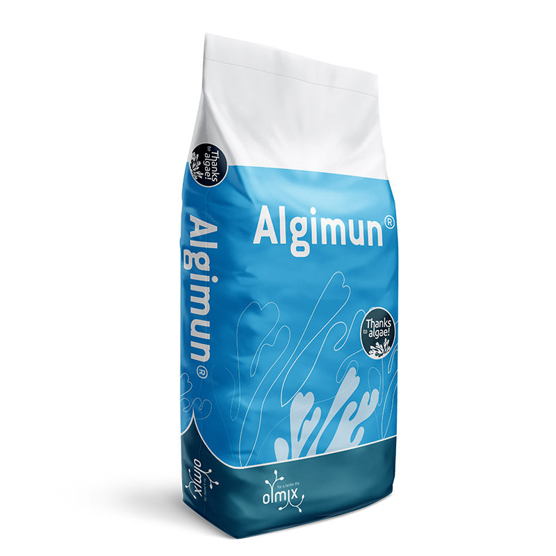 Algimun