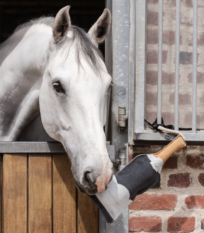 Horse Stable Toy