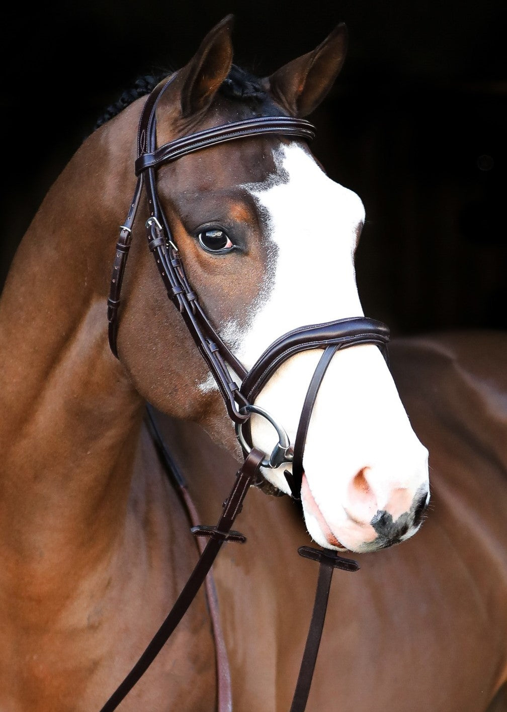 Mackey Legend Athena Bridle
