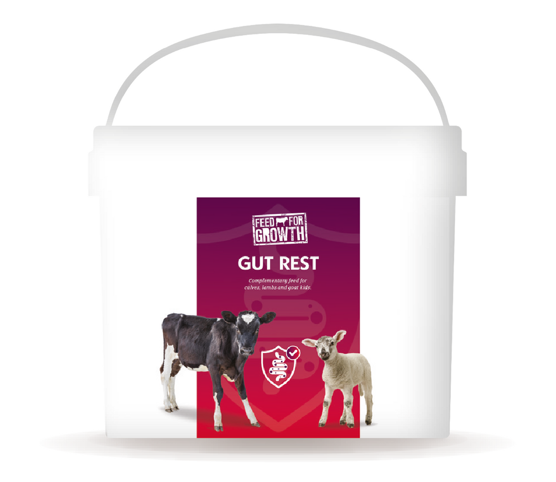 Feed for Growth Gut Rest - 5kg