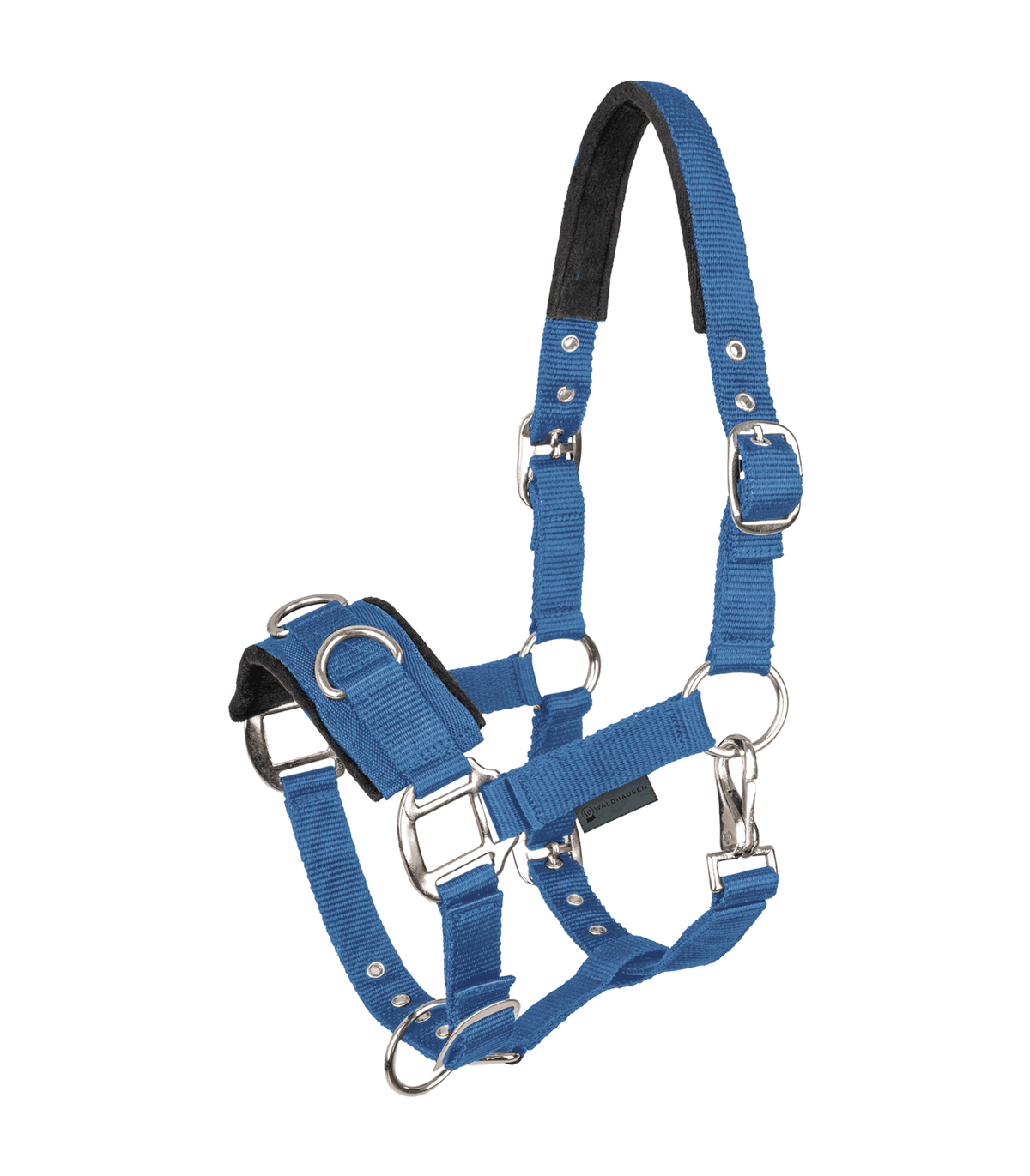 Economic Lunging Halter
