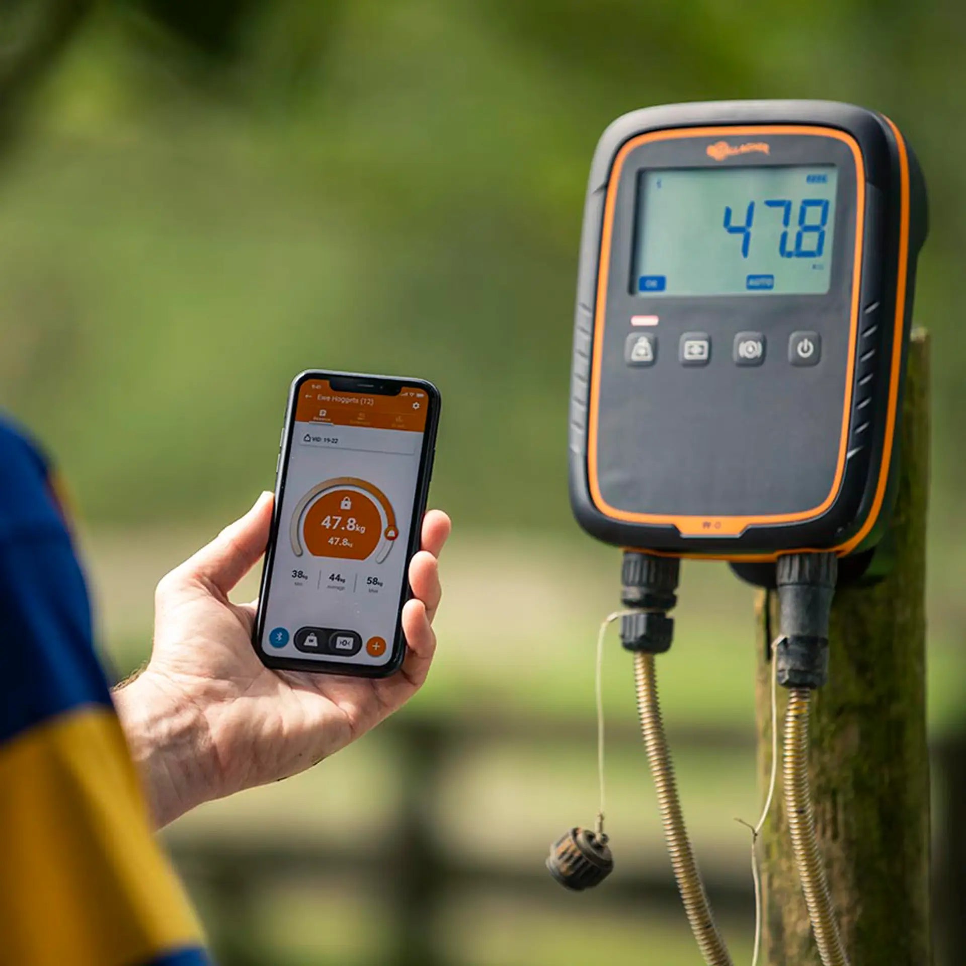 Weighing Indicator W0