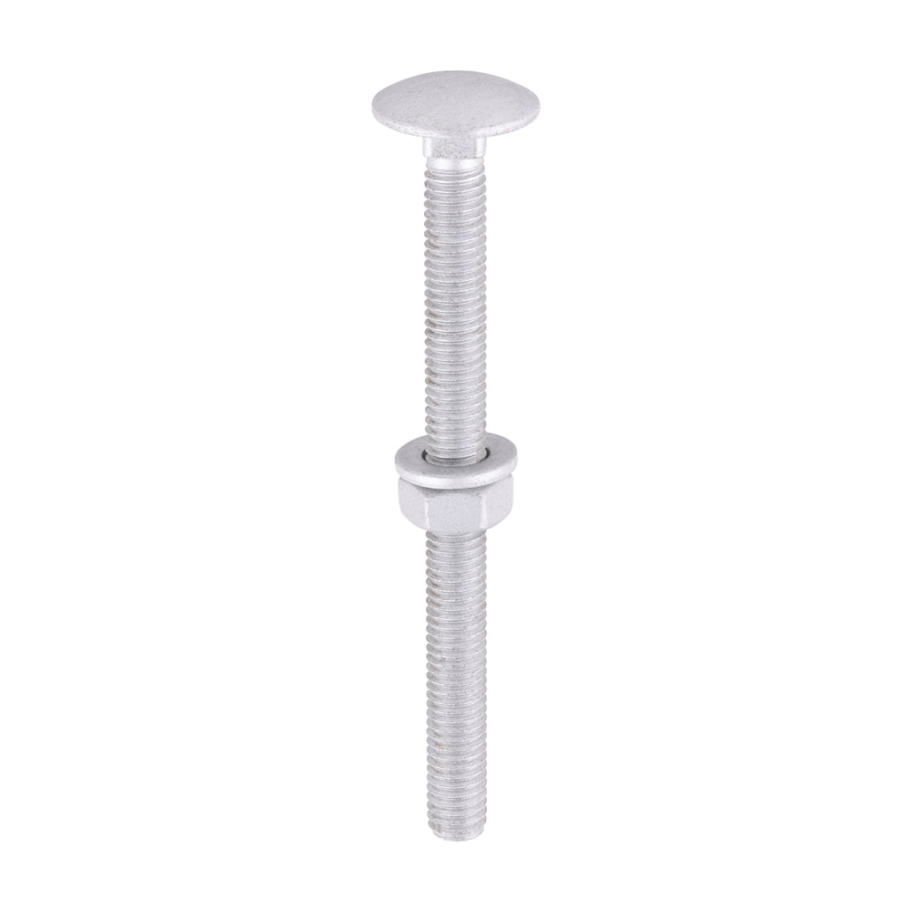 Timco Carriage Bolt, Washer & Nut - Exterior Silver