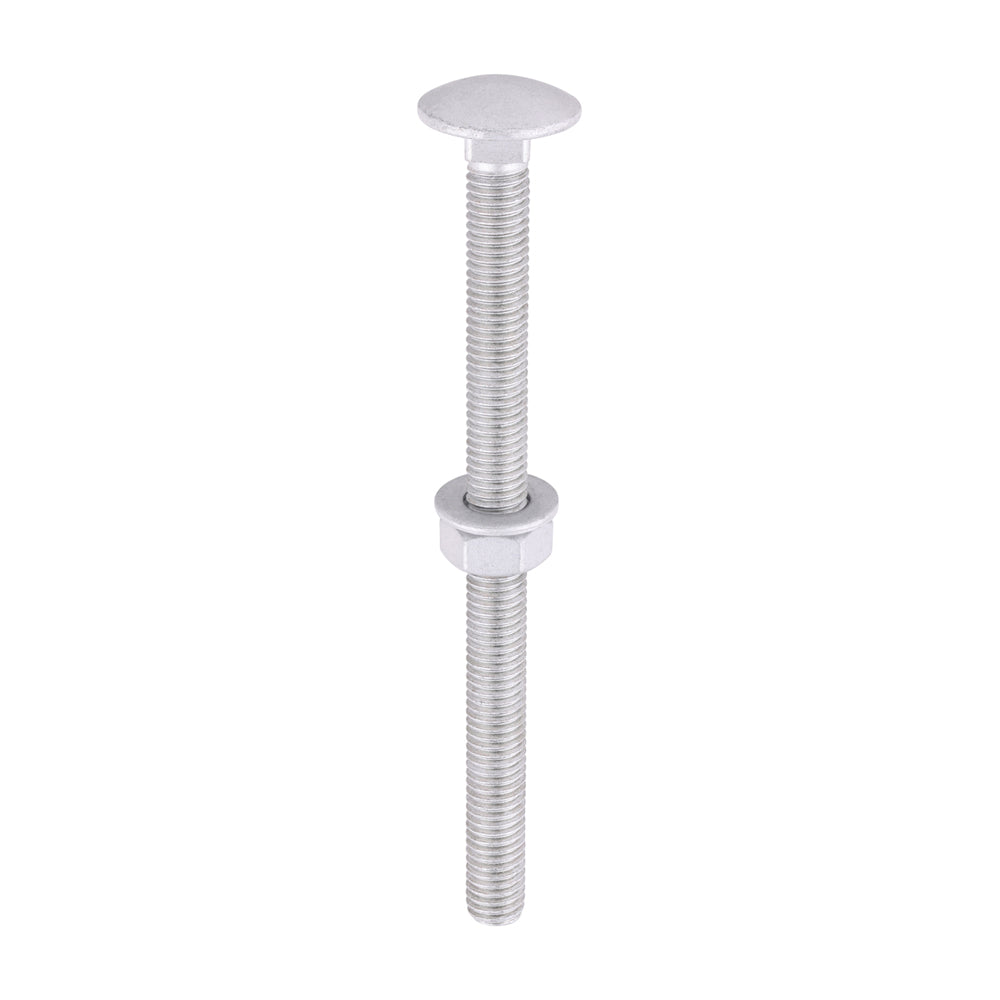 Timco Carriage Bolt, Washer & Nut - Exterior Silver