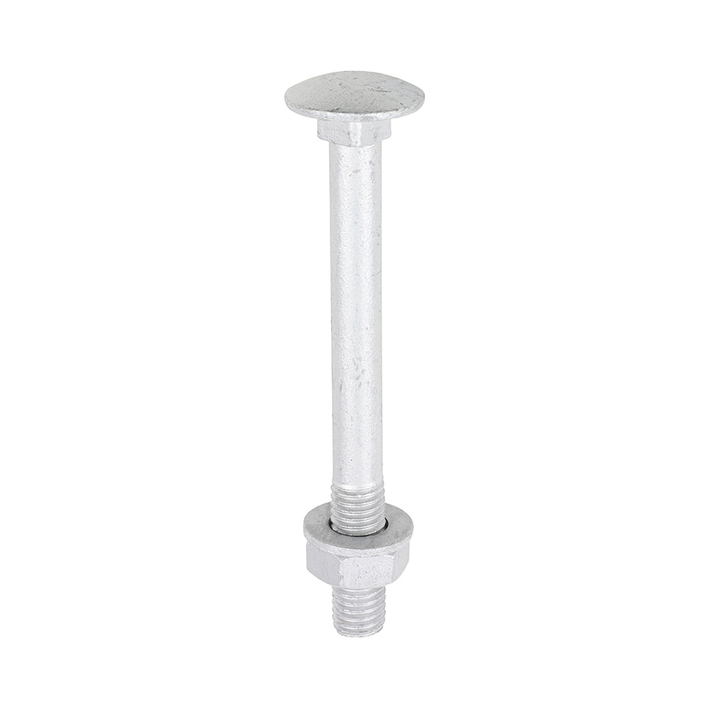 Timco Carriage Bolt, Washer & Nut - Exterior Silver