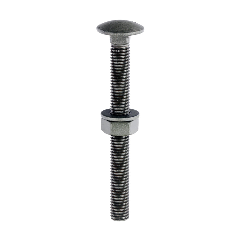 Timco Carriage Bolts, Washers & Nuts - Exterior Green
