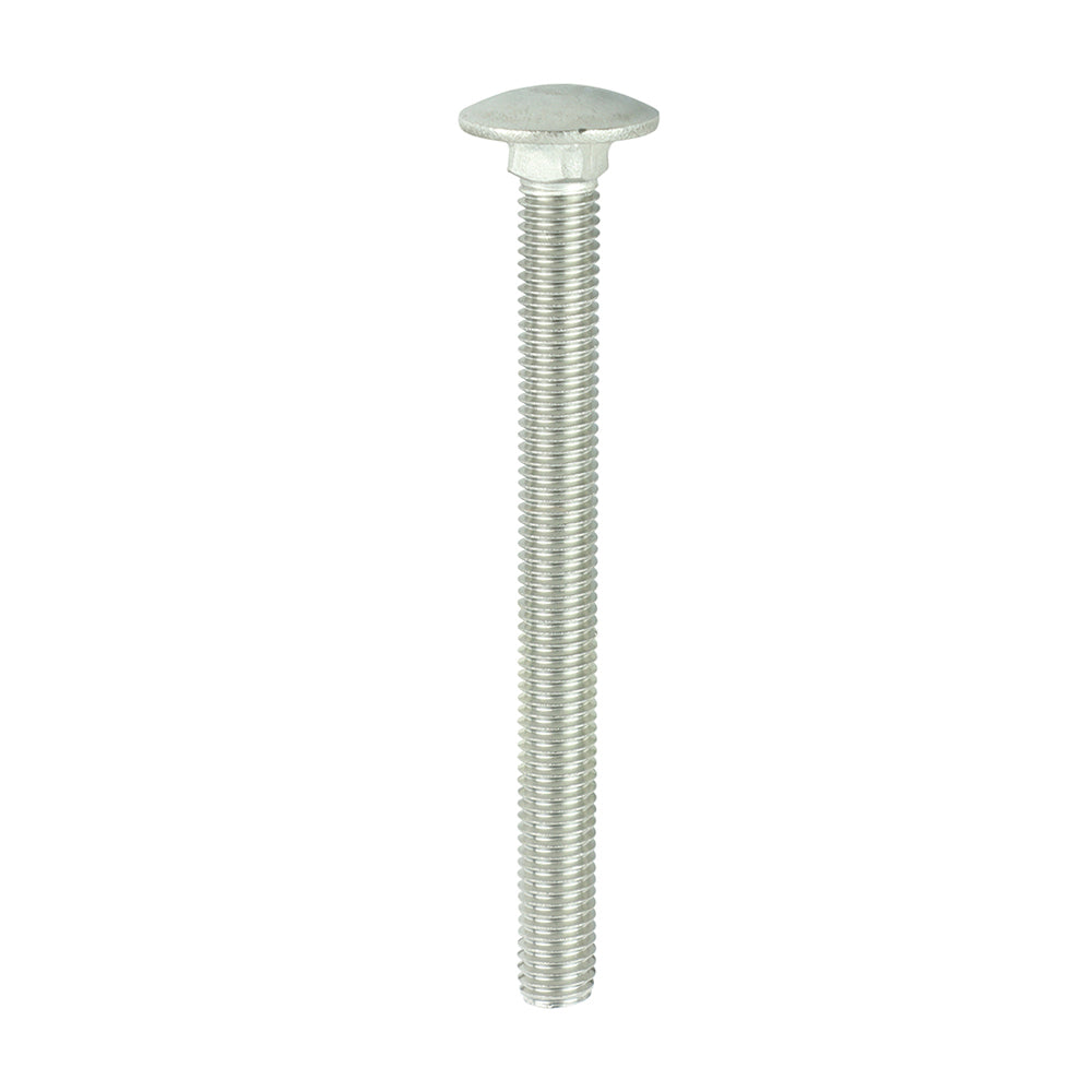 Timco Carriage Bolt - Stainless Steel