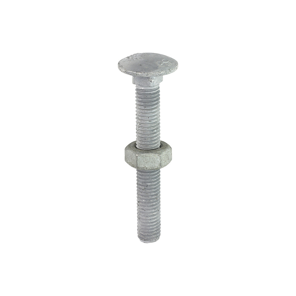 Timco Carriage Bolt & Nut - Hot Dipped Galvanised