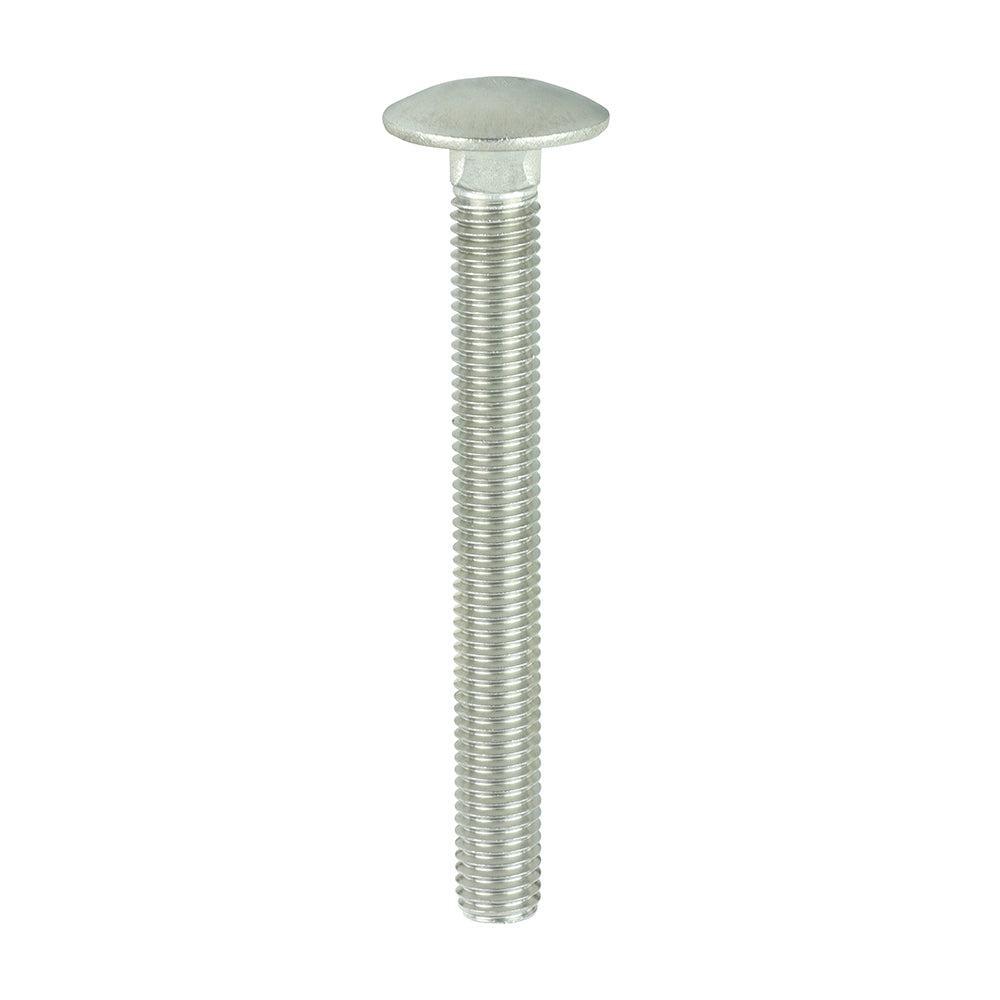 Timco Carriage Bolt - Stainless Steel