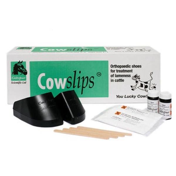 Cowslips 10 pack (Mixed)