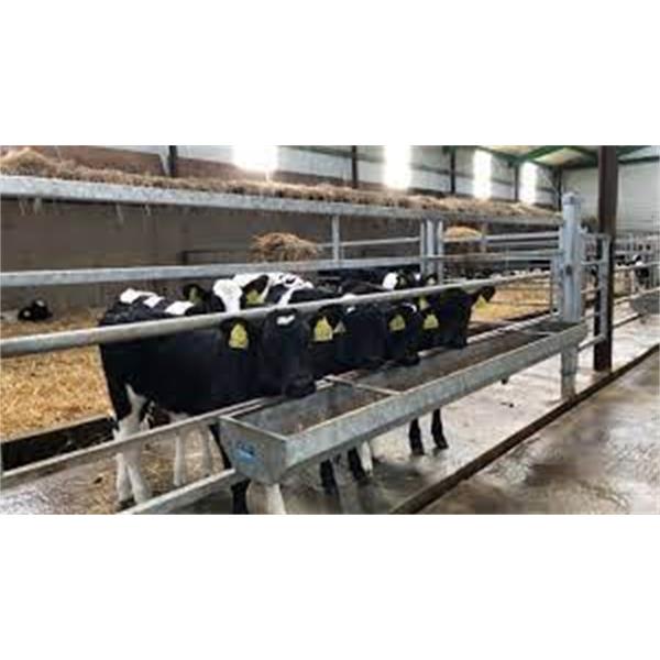 Clip-on Calf Feed Trough