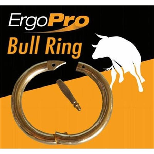 Brass bull rings 2.75"
