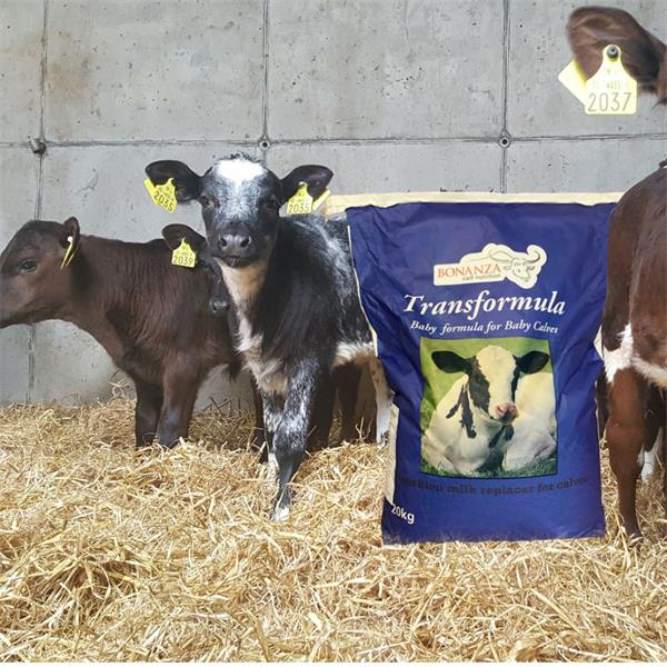 Transformula Calf Milk Replacer 20KG