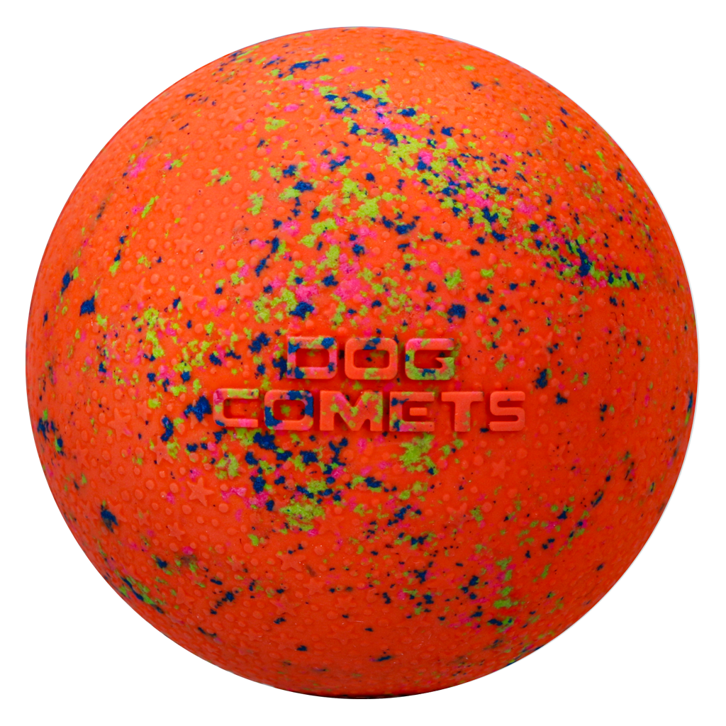 Dog Comets Stardust