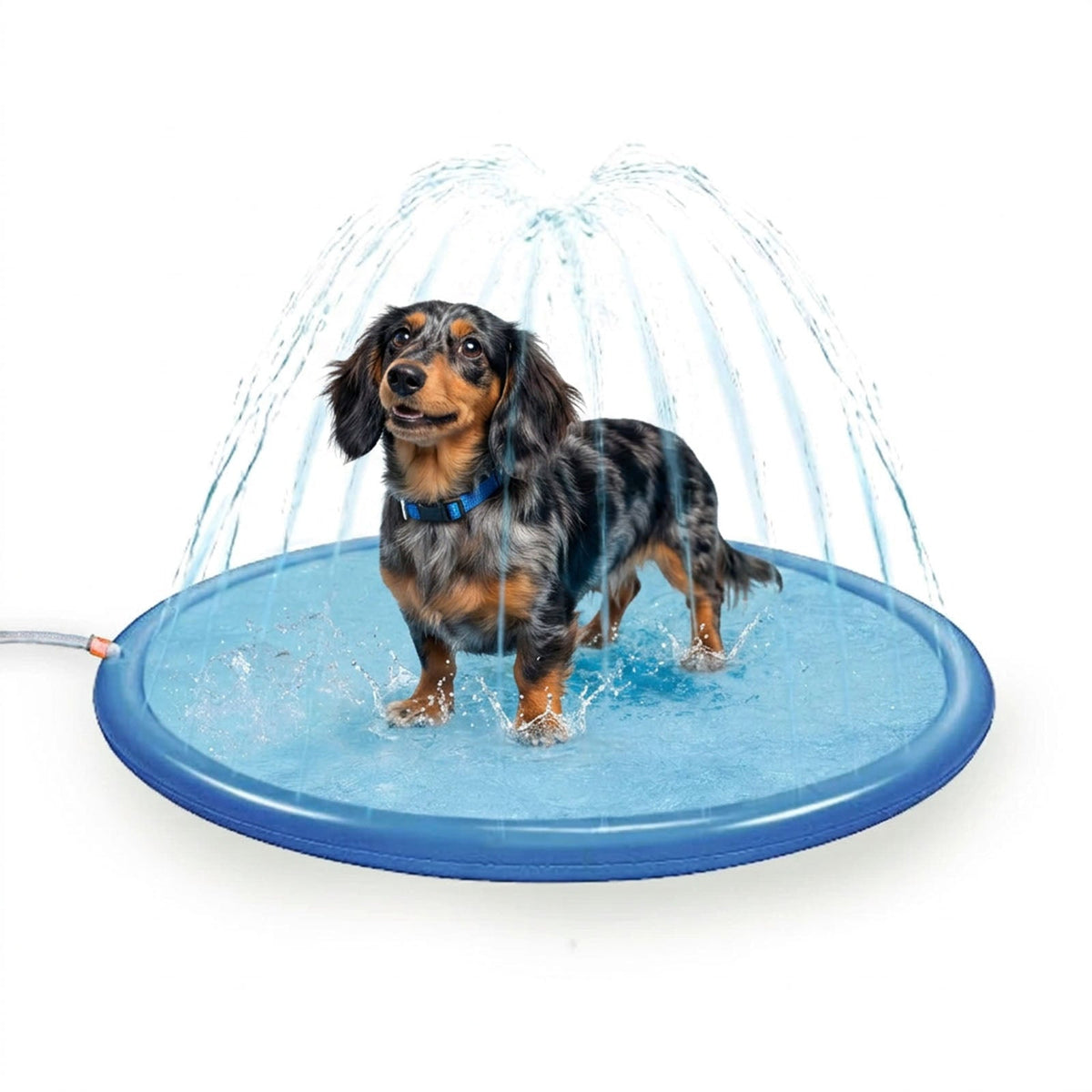 Coolpets Splash Sprinkler Pad