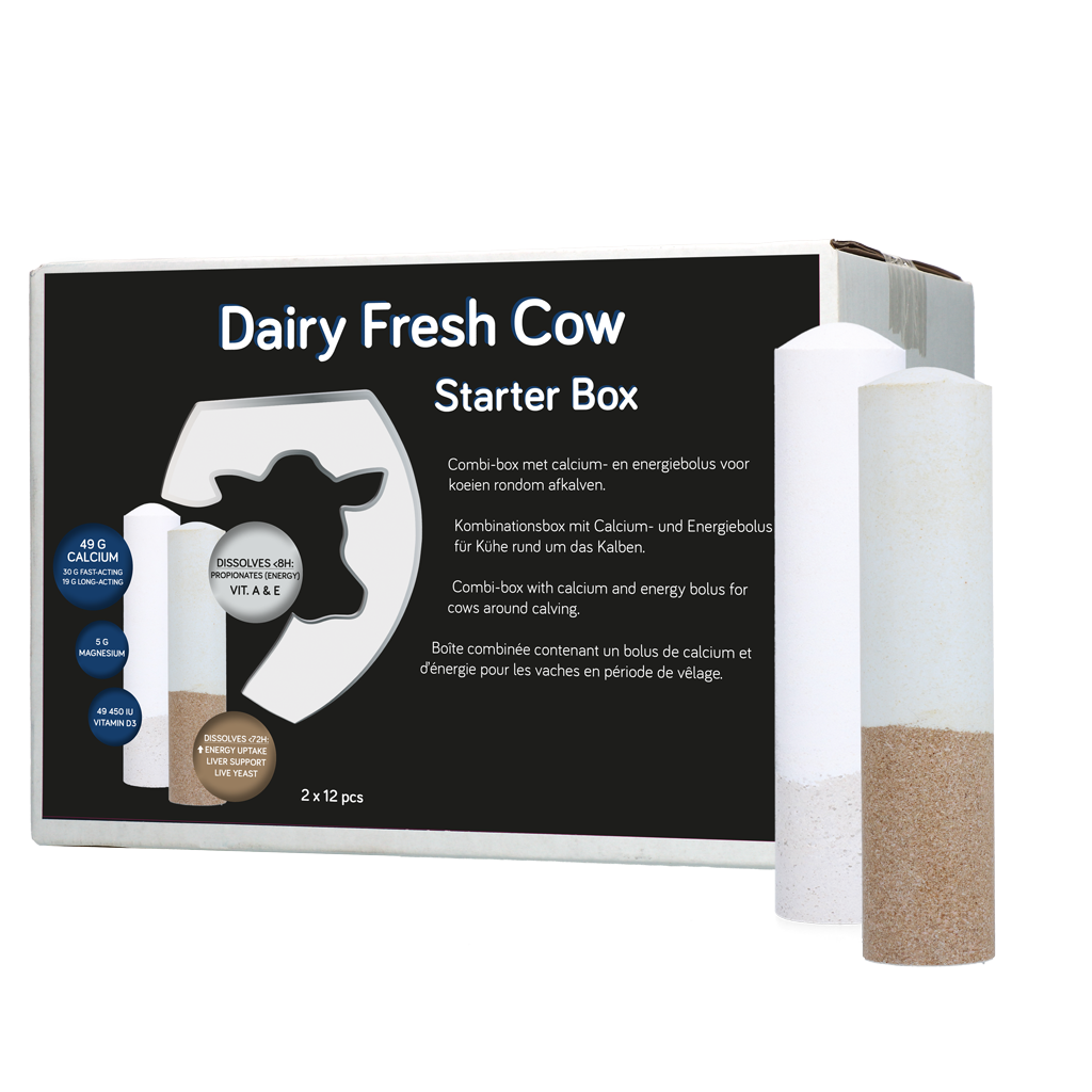 Dairy Fresh Cow Starter Box