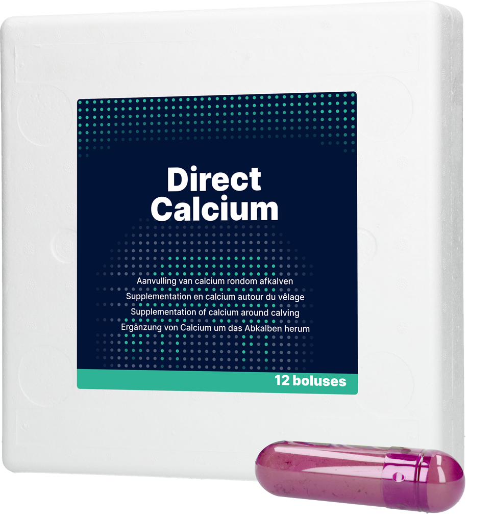 Direct Bolus Calcium