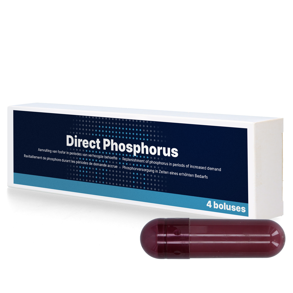 Direct Bolus Phosphorus