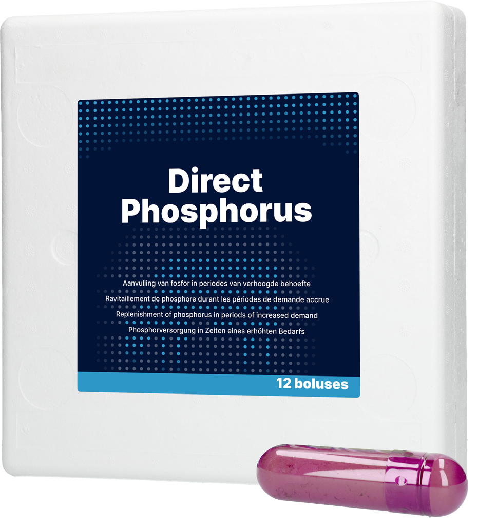 Direct Bolus Phosphorus