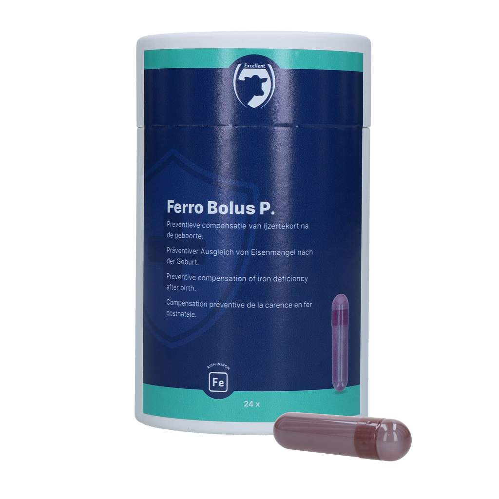 Excellent Ferro Bolus P 24 x 8.5 g