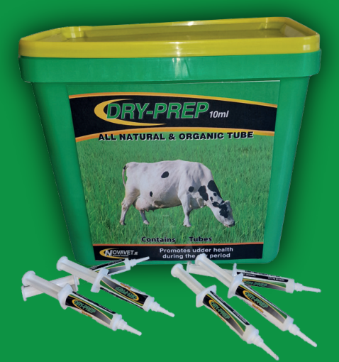 Dryprep Dry Cow Tube