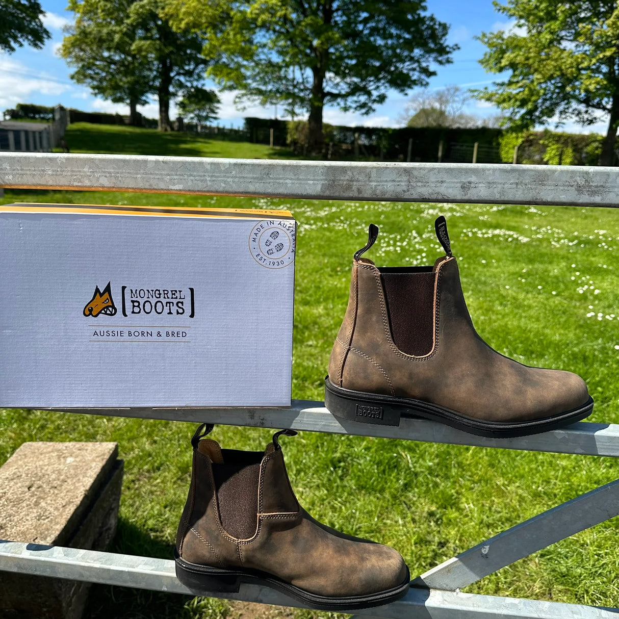 Mongrel K9 Cloudy Non Safety Chisel Toe