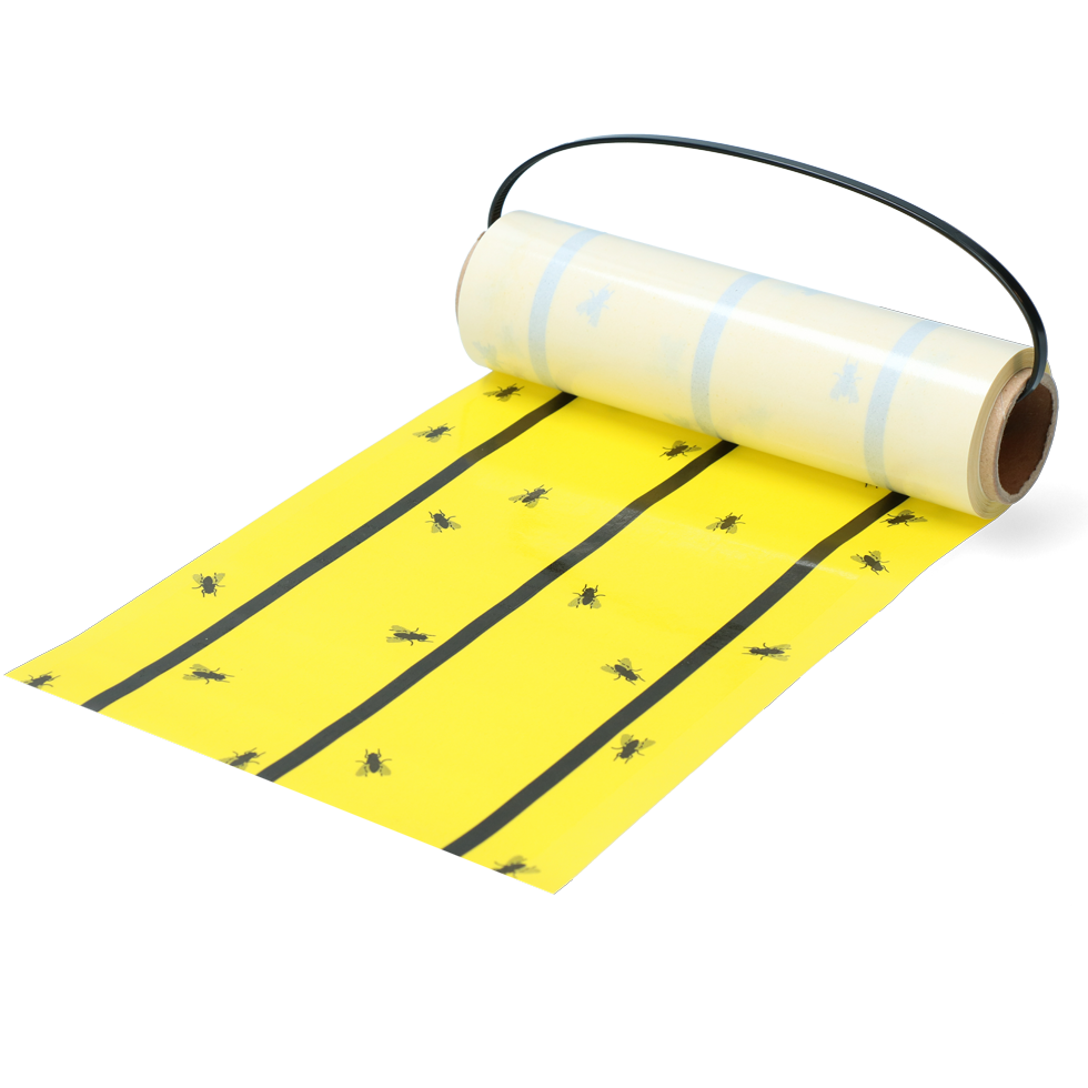 Knock Pest Fly Roll Yellow