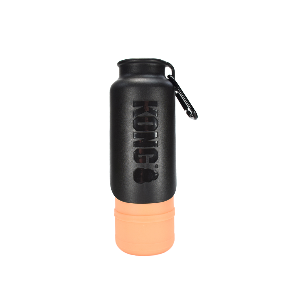 KONG H2O Insulated Water Bottle