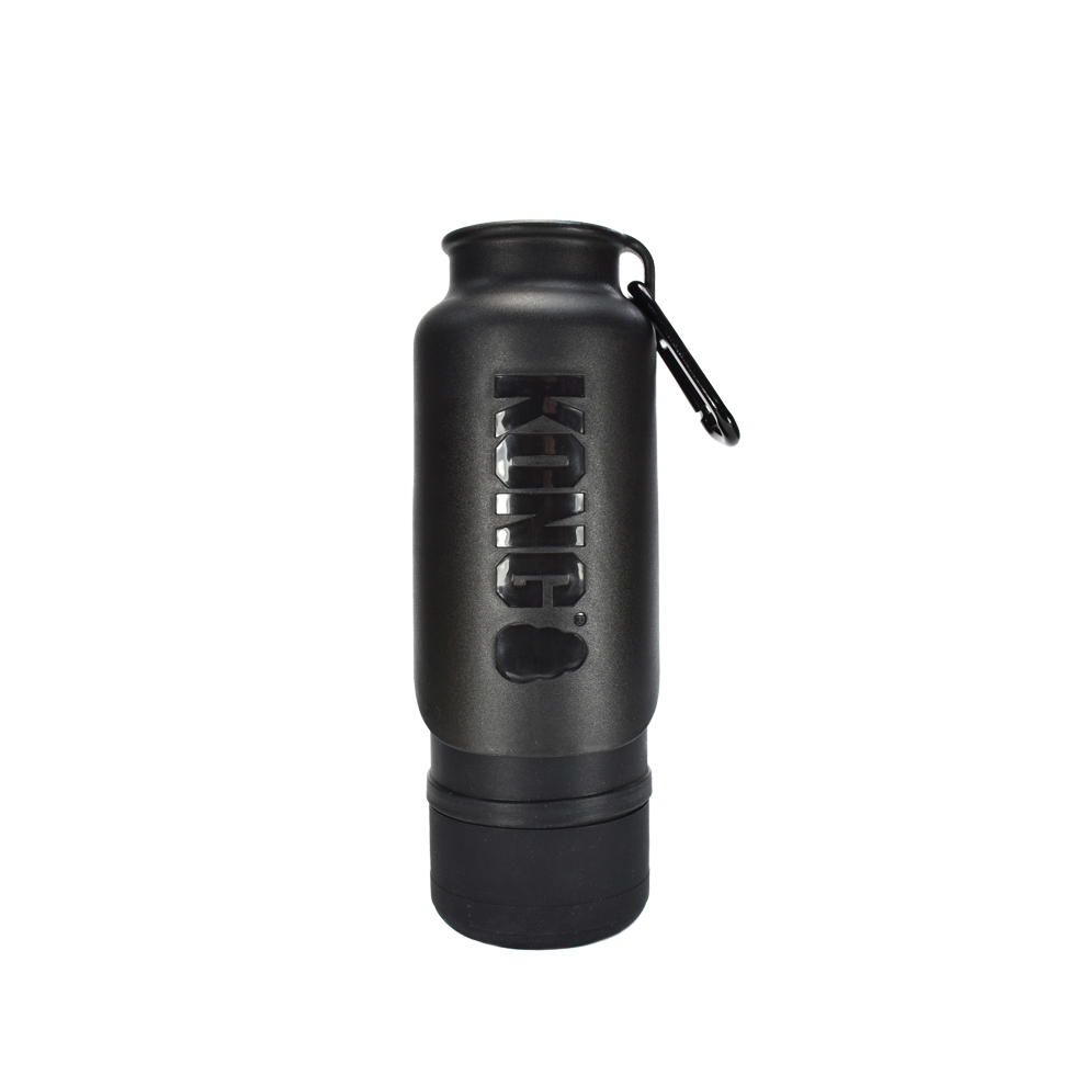 KONG H2O Insulated Water Bottle