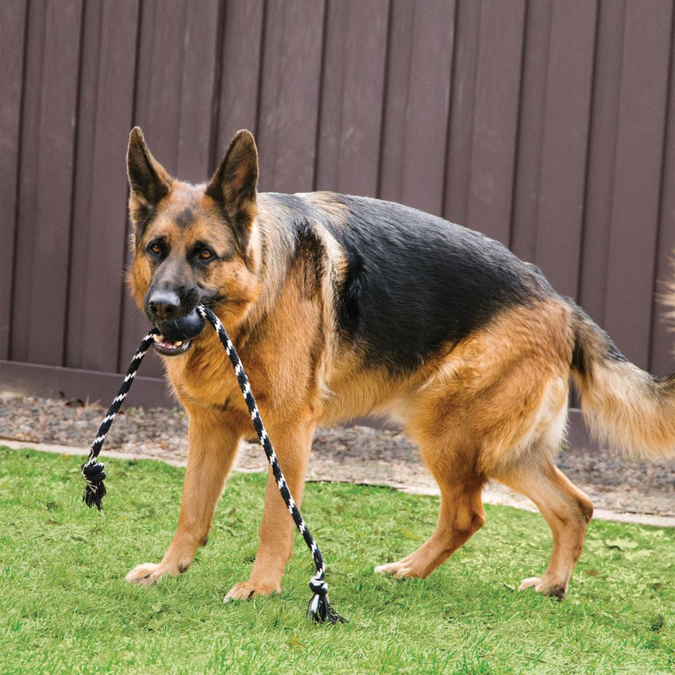 KONG Extreme Ball with Rope L