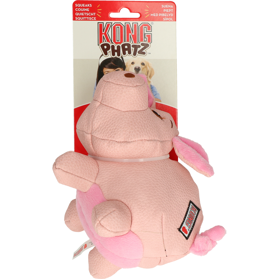 KONG Phatz