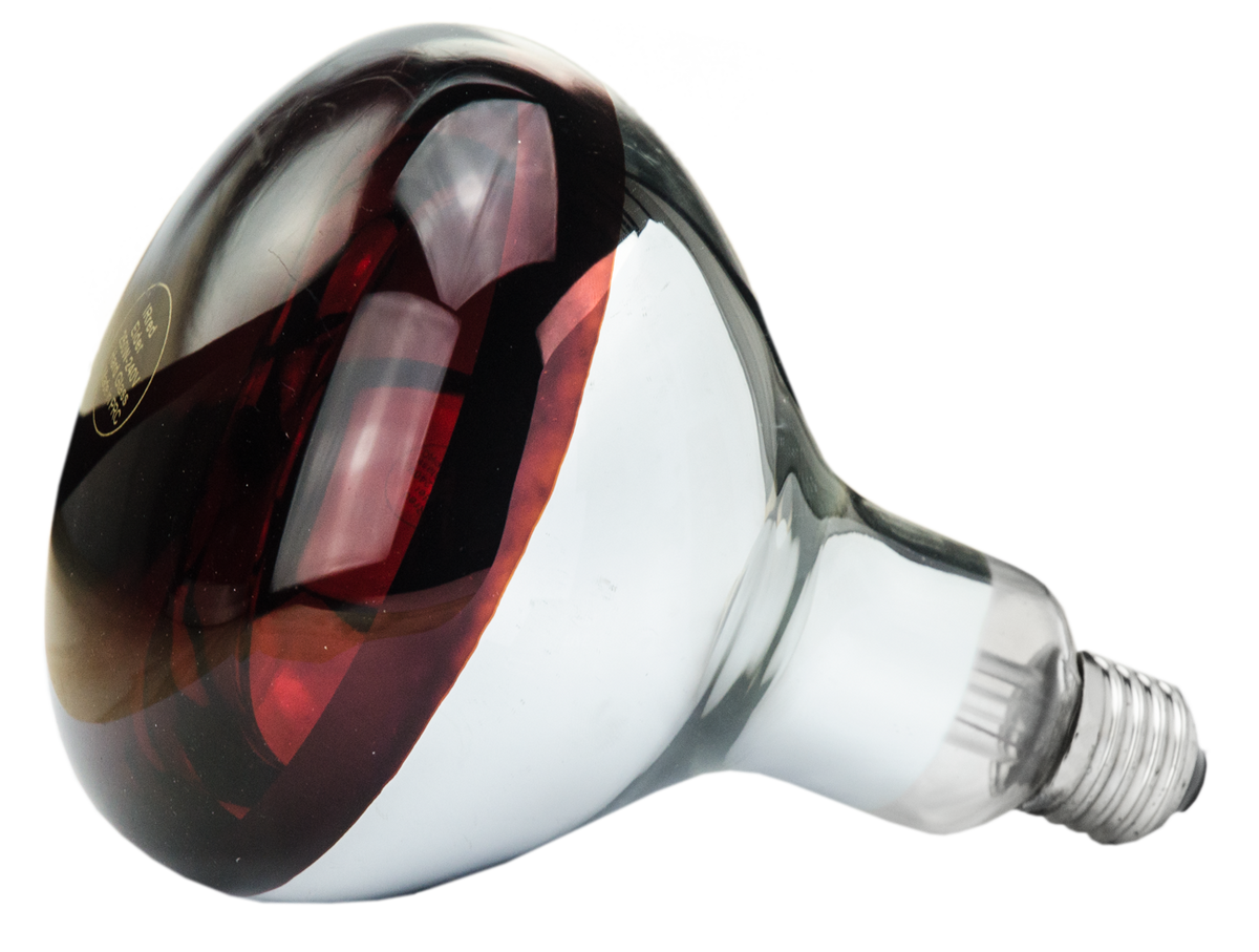 Hard Glass Lamp