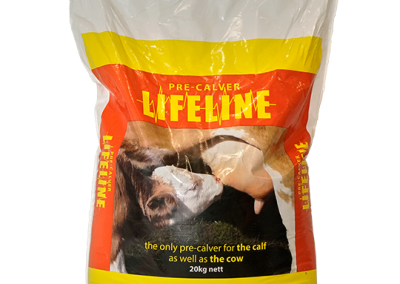 Lifeline Pre-calver Powder Mineral 20 kg