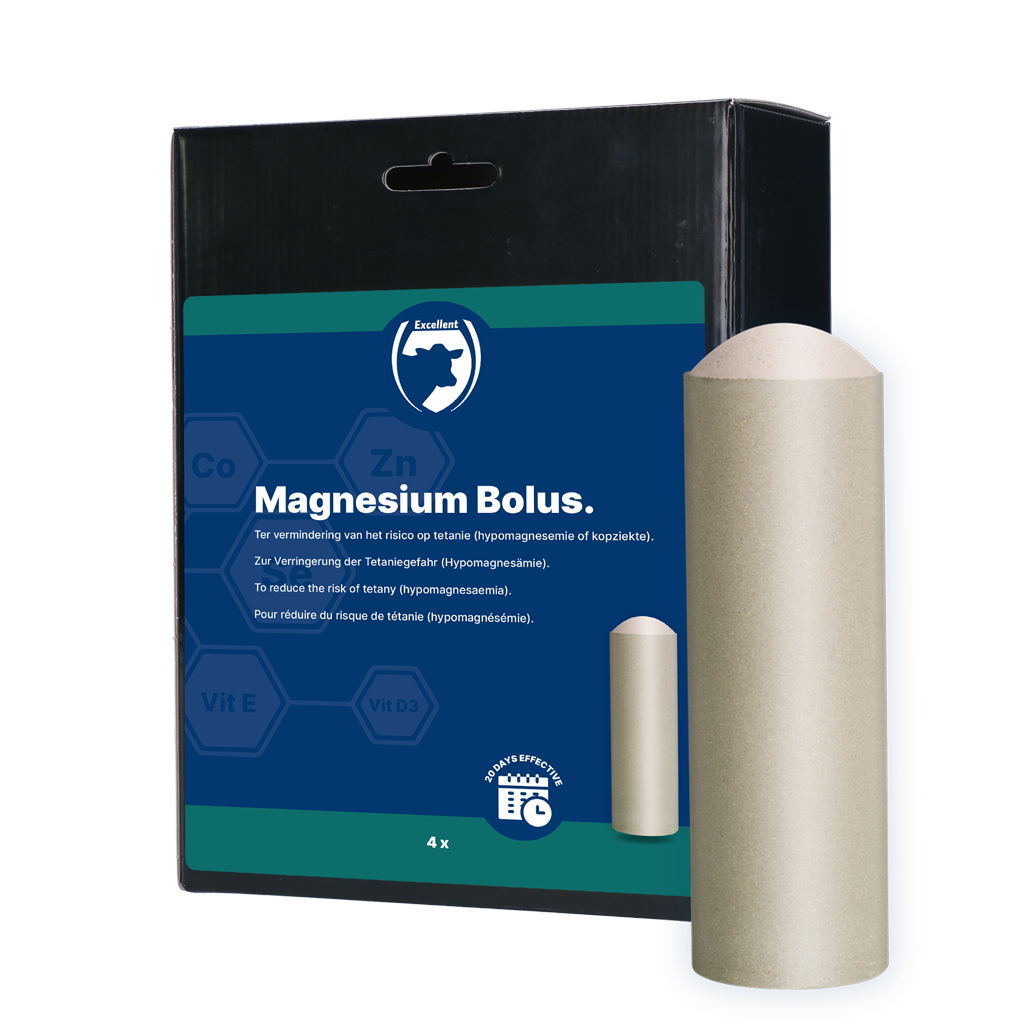 Excellent Magnesium Bolus