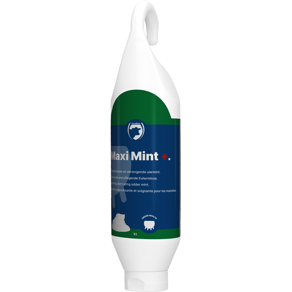 Excellent Maxi Mint+