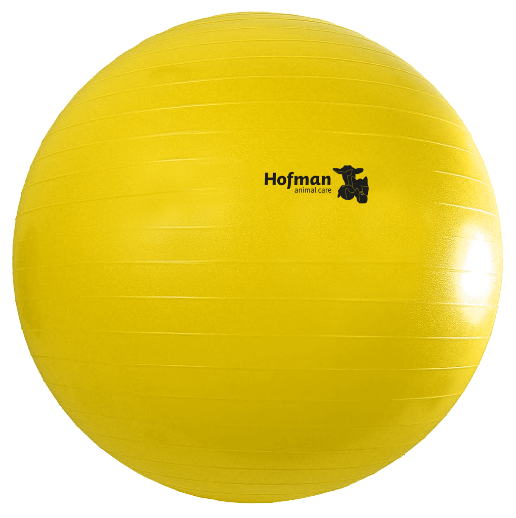 Maximus Power Play Ball