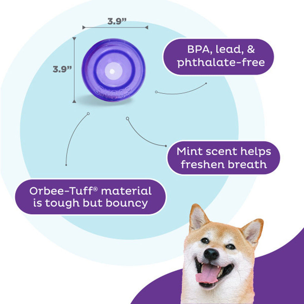 Outward Hound Orbee-Tuff Snoop Purple M