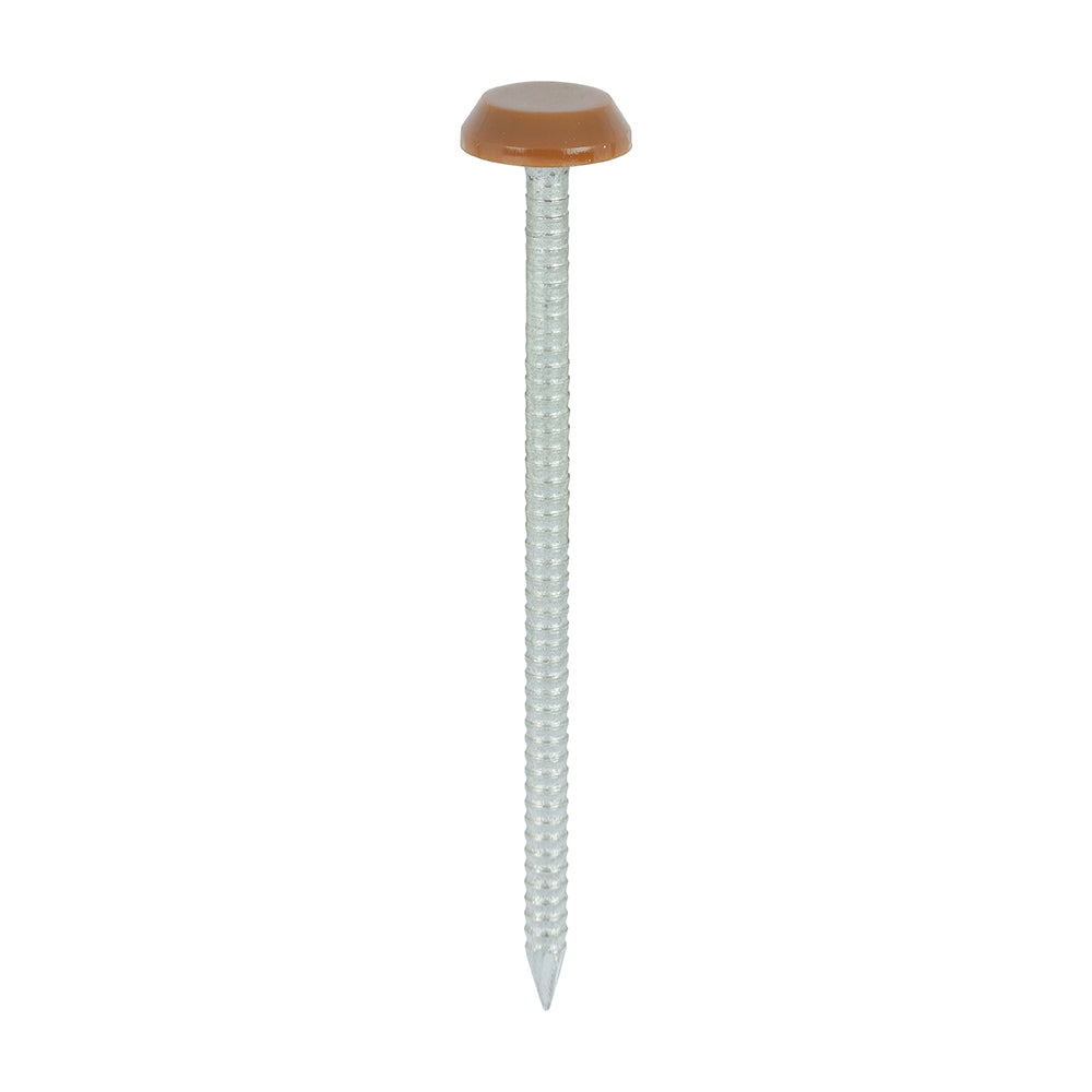 Timco Polymer Headed Nails