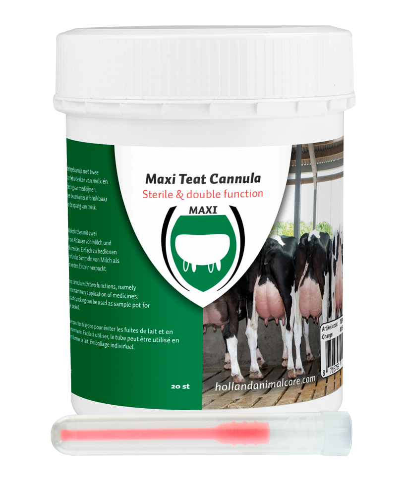Excellent Maxi Teat Cannula 55 mm